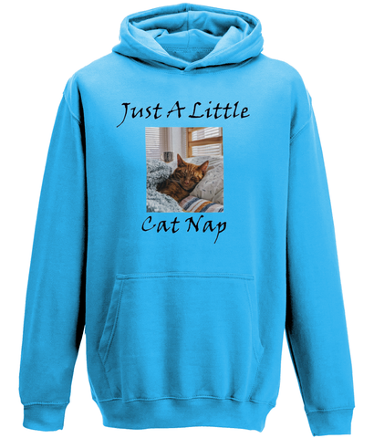 Men's Just A Little Cat Nap Hoodie