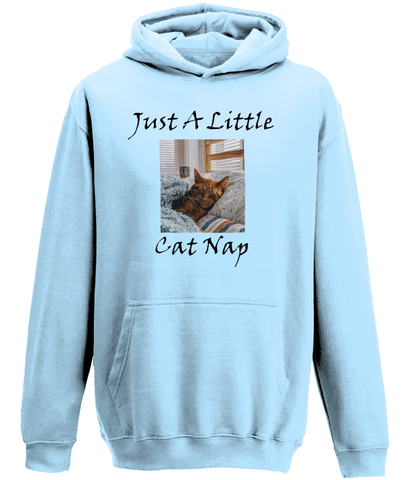 Men's Just A Little Cat Nap Hoodie